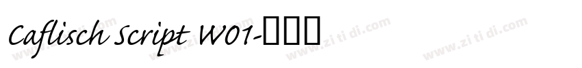 Caflisch Script W01字体转换